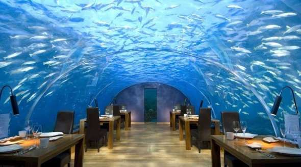 Restaurante bajo el mar / MJ Murphy Ltd