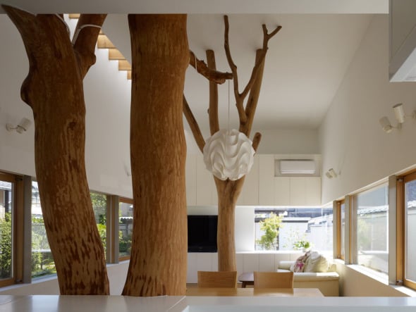 Árboles dentro de casa, una idea espectacular
