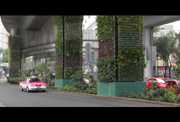 VIDEO: Las columnas verdes del Perifrico realmente tienen beneficios ecolgicos?