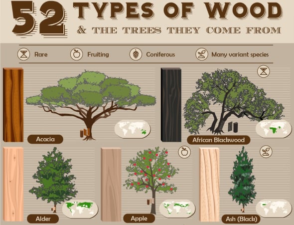 53 tipos de maderas (Y de dónde provienen)
