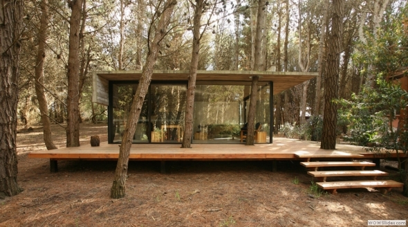 Casa de cristal en el bosque