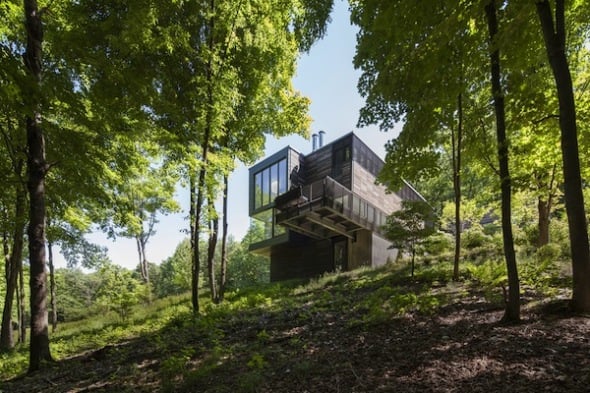 Casa adaptada al bosque
