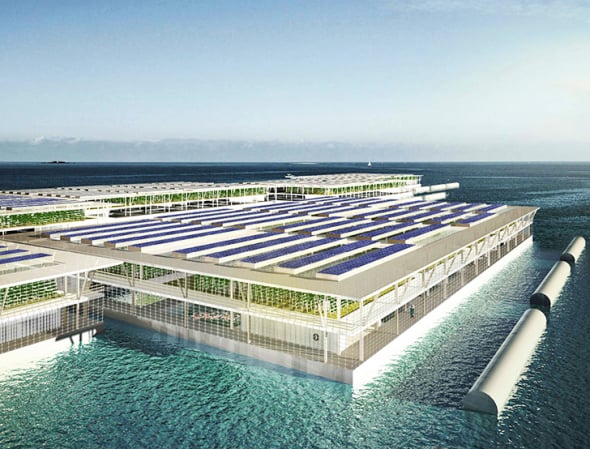 Podrían las granjas flotantes de energía solar proporcionarle suficiente comida a todo el mundo