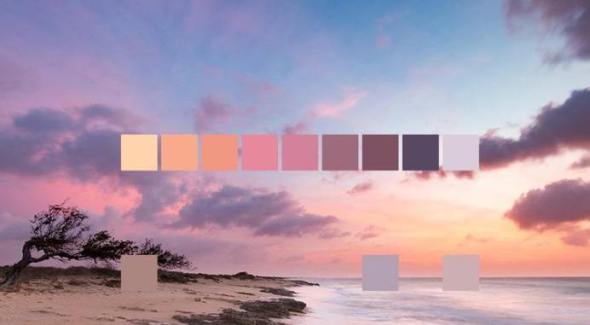 Si no puedes encontrar un esquema de color adecuado, puedes mirar a la naturaleza